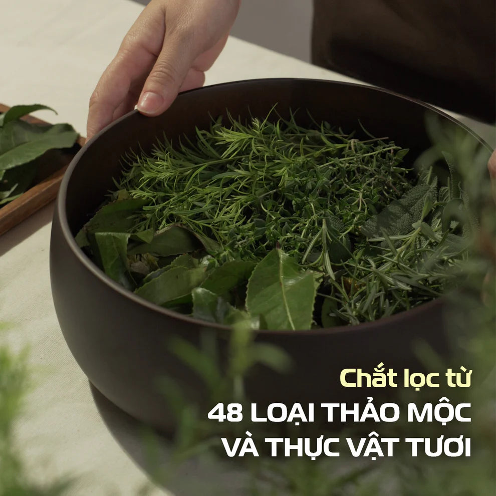 Bánh Rửa Mặt Thảo Mộc Tươi